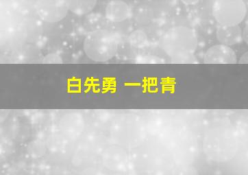 白先勇 一把青